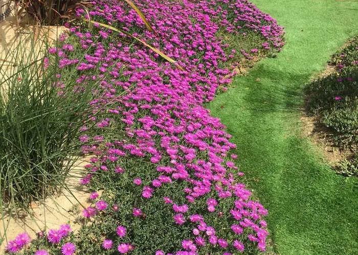 Chapulay فندق مبيت وإفطار 3*